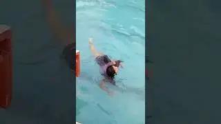 nataci&oacute;n nado libre