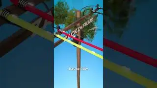 Как птицы избегают поражения электрическим током 😨