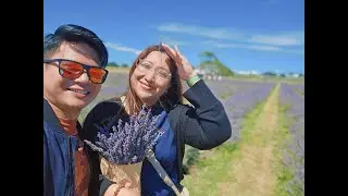 Holidays in NZ #summer