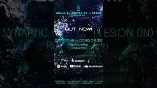 Synaptic (IN), Cohesion (IN) - Repercussion (Original Mix) [Soliq Records] - PREVIEW