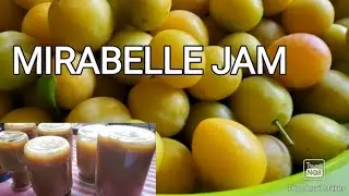 HOW TO MAKE MIRABELLE PLUM JAM /MARMALADE/HOMEMADE  (2)