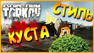 Стиль куста или Кто ж вас всех хоронить то будет? (patch 11.7)