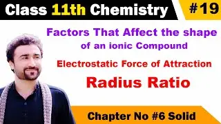 Factors that Affect the Shape of an Ionic Solid class 11
