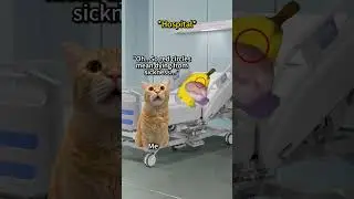 CAT MEMES 🐱 Your Superpower Went Wrong... #catmemes #relatable When you have superpower..