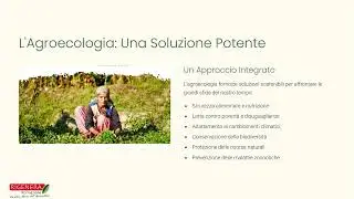 Coalizione per l'Agroecologia