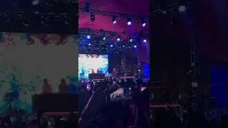 DPR LIVE Martini Blue - Coachella 2023