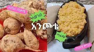 አንጮቴ | የኦሮሞ ባህላዊ ምግብ | ወገብ ለመጠገን | Anchote | Ethiopian food | Good for spine health