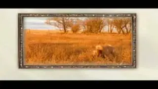 Beretta Beretta O&U AD