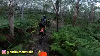 Single Trail Group Ride 2023 KTM 300 EXC TPI
