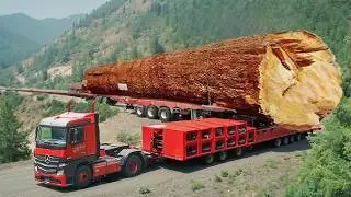 Extreme Precision Tree Felling and Timber Loading &mdash; Old School Skill Meets Modern Know How