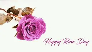 Happy Rose day status video 2019 | Rose day whatsapp status sms songs quotes images wishes 2019 |