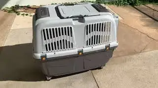 🐶🐶UNBOXING SKUDO DOG CARRIER with Oliang and nomyen | Dog VLOG