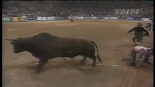 Jigger bucks Casey Gates - 98 PBR Finals