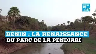 B&eacute;nin : la renaissance du parc de la Pendjari