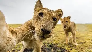 Funniest Animal Selfies That Are Cuter Than Yours