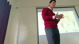 Physiology  streching reflex last session p1