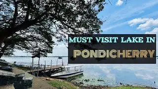 PONDICHERRY OSSUDU LAKE BOAT HOUSE AND BIRDS SANCTUARY🦩Pondicherry tourism #pondicherry #lake#birds