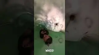 Peanut Butter Fails & Water Slide Wins!