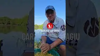 SECRETELE  lui Tata Nitu, dezvăluite &icirc;n EXCLUSIVITATE la #carliguluigagiu, direct de pe Hermes Peris