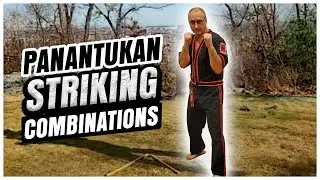 Panantukan: 6 Must Know FILIPINO BOXING Combinations / ARNIS - KALI - ESKRIMA / Lorne Therrien