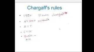 Quick Recalls Session - 6, Chargaff's Rule & Numerical...