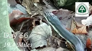 Appalachian Trail Hike 2025: On a mission to get to Post Office!
