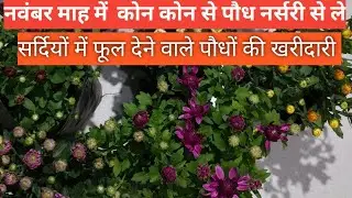 Winter flowering plants shooping ❤️ winter main kon kon se plant garden main add kare 💐 flower