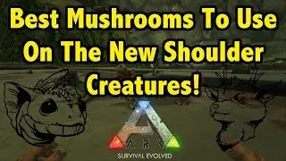 The Best Mushrooms To Use On Each Shoulder Mount In Aberration!