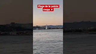 Marseille: L'&eacute;t&eacute; sur la plage de la pointe rouge🇫🇷 Summer in Marseille #shorts #shortvideo #short