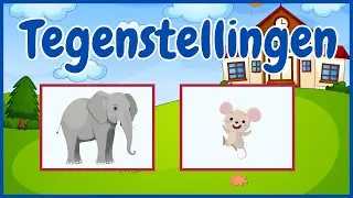 Tegenstellingen Leren voor Kinderen – Educatieve Video met Leuke Voorbeelden!