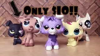 Selling Lps Customs For Less Then $10?! (Lps Customs For Sale #3) (SOLD)