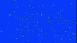 Falling leaves green screen  free