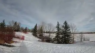 Elliston Park: The Calgary Park That Used to host DRIVE-IN MOVIE Theaters!