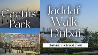 The beautiful Cactus Park in Dubai: A botanical wonderland