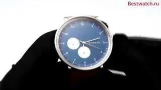 Skagen - Leather SKW6167