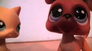 LPS sofieandellie's contest entry for AlyLPSTV