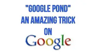 Google Pond &mdash; удивительный поисковый трюк в Google
