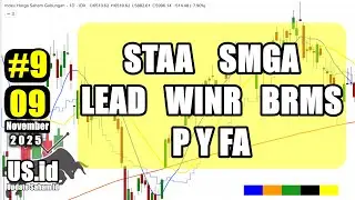 091125 UPDATE SAHAM STAA SMGA LEAD WINR BRMS PYFA
