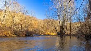 Quiet Autumn River Ambience – Peaceful Flowing Water Sounds for Relaxation & Study (4K)