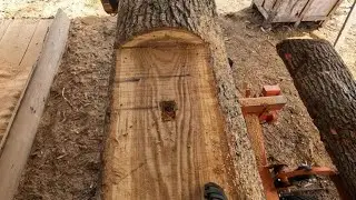 Wood Mizer Sawmill Strikes Nails Red Oak Log 5 quarter Lumber