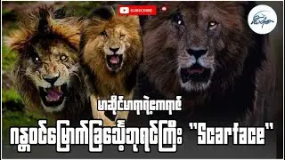 မာဆိုင်မာရာရဲ့ဧကရာဇ် ဂန္တဝင်မြောက်ခြင်္သေ့ဘုရင်ကြီး 