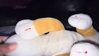Mickey the god: Pluto and the stalker