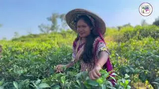 আলোর ছোঁয়া 🖼️ নাটক 