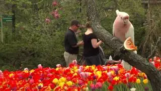 Replanting the Botanical Garden - Cincinnati Zoo