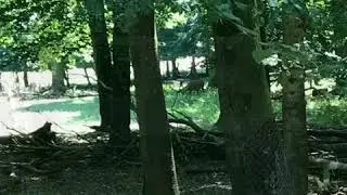 Поход в тирпарк!!! Wiesbaden Richtung Taunusstein