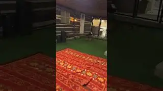 cheetah pounce speed