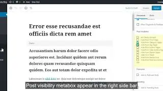 WordPress Hide Post - Settings Guide