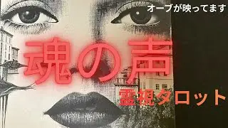 （神神回‼️霊視タロット）あなたの魂の声を聞きました※この動画には沢山のオーブ👼が出現しています