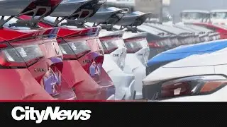 These were the most stolen vehicles in Ontario for 2024