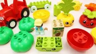 Satisfying Building Blocks Fruit and Vegetable Tractor ASMR Unboxing Video